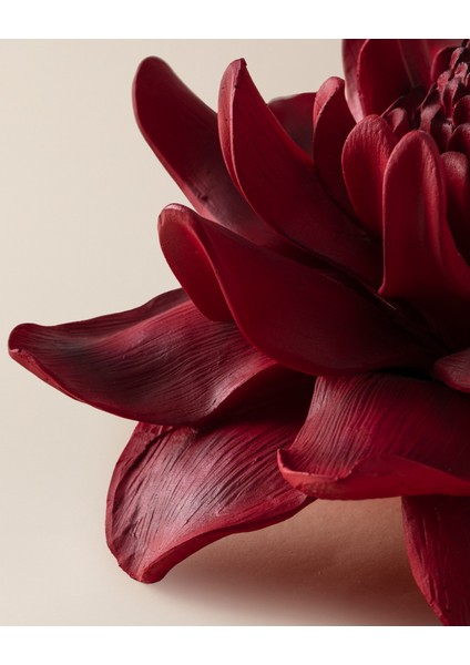 Petal Biblo - Kırmızı modelleri