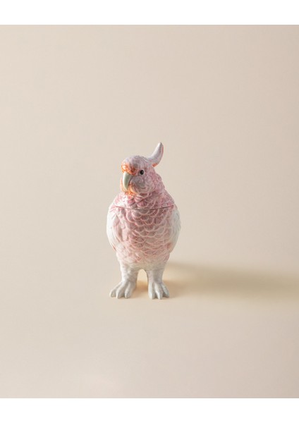 Sanvi Biblo - Toz Pembe
