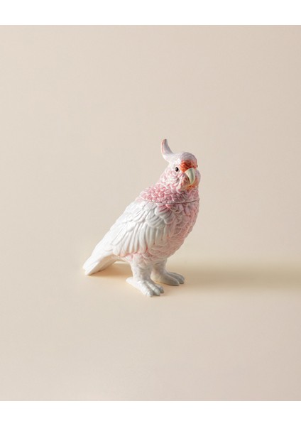 Sanvi Biblo - Toz Pembe