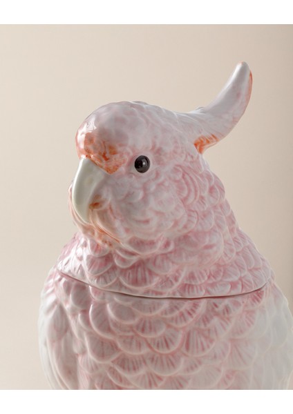Sanvi Biblo - Toz Pembe