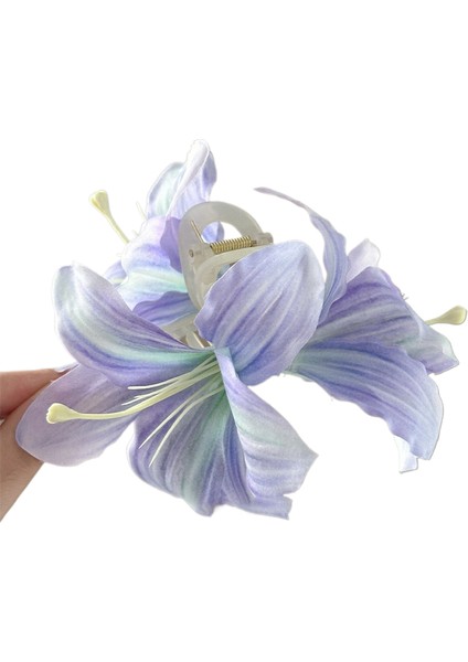 Bükülmüş Klips Başın Arkası Plaka Saç Tek Klips Toka (Yurt Dışından)