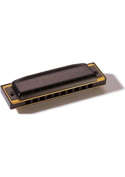 M564096P Pro Harp Ab-Major Mızıka