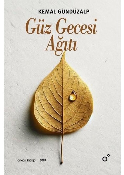 Güz Gecesi Ağıtı