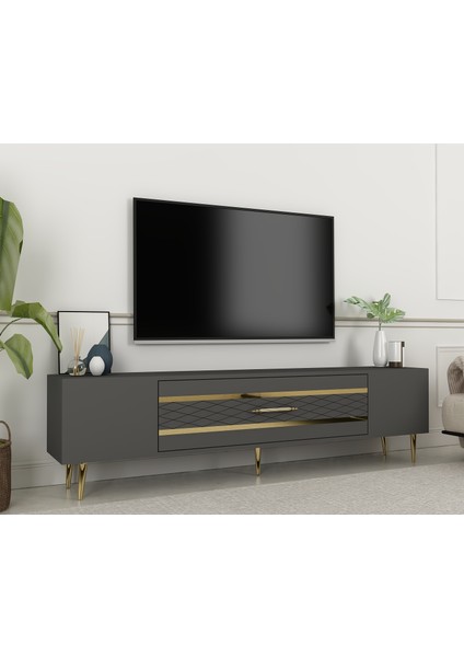 Aşkabat Tv Sehpası Tv Ünitesi Antrasit Altın fiyatları