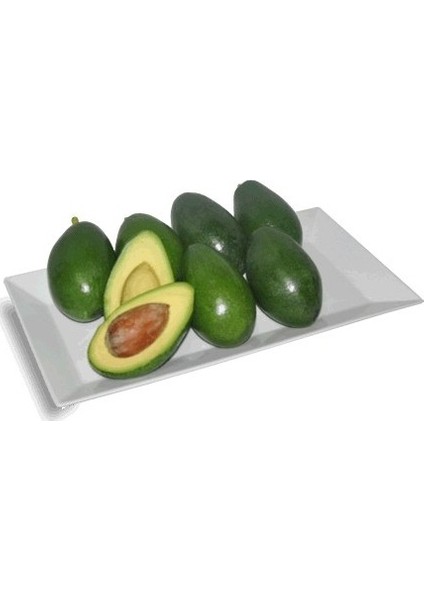 Avokado Meyvesi Fuerte 4lü