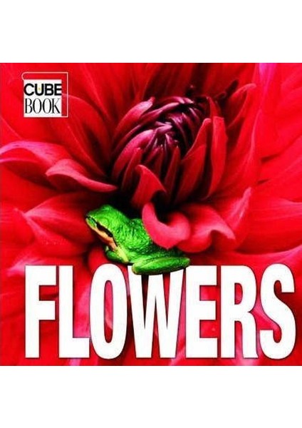 Flowers: Minicube (Minicube) (Ciltli)
