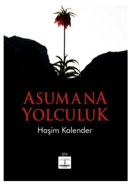Asumana Yolculuk