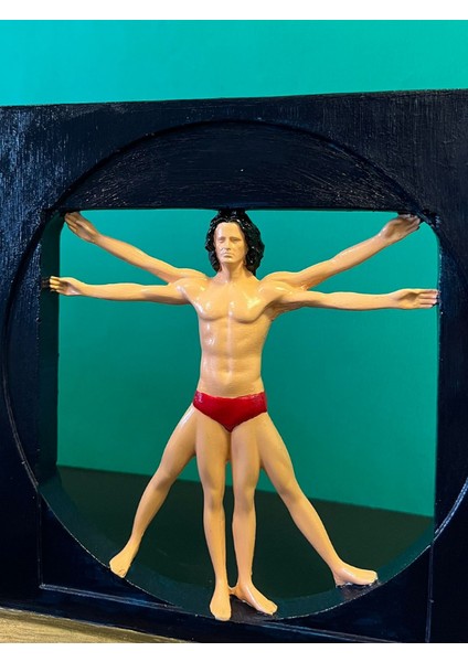 Altın Oran Adam Da Vinci Veronese Vitruvius Biblosu Polyester