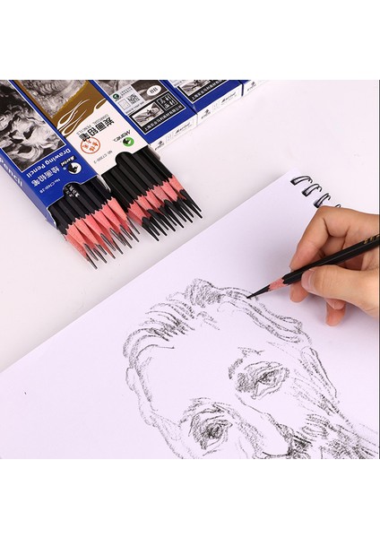 B-6pcs Tarzı Maries Profesyonel Eskiz Kurşun Kalem Çizim Hb 2h B 2b 3b 4b 5b 6b 7b 8b 10B 12B 14B Yumuşak Orta Sert Kömür Sanat Kırtasiye (Yurt Dışından) fırsatları