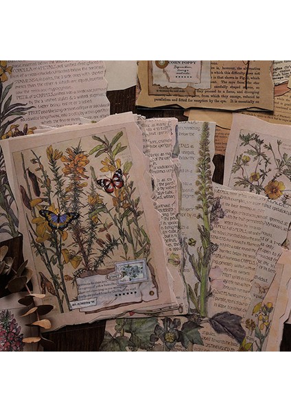 No.6 Tarzı Orta Çağ Bitkisi Büyük Boy Eski Kitap Sayfası Vintage Kağıt, Junk Journal, Defter, Dıy Scrapbooking Albüm Dekorasyon Kağıt Malzemeleri (Yurt Dışından) fiyatları