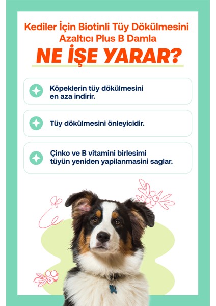Fish Oil & Plus+B For Dogs fırsatları