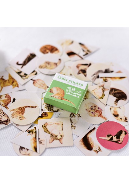 No.15 Tarzı Kutu Paket Süs Etiket Seti Günlük Albüm Etiket Sticker Dıy Kırtasiye Etiketleri Escolar Papelaria (Yurt Dışından) fırsatları