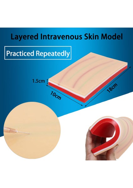 Katmanlı Intravenöz Stil Deri ve Saç 4d Ustası Bulmaca Montaj Oyuncak Insan Vücut Organ Anatomik Model Tıp Eğitim Aracı (Yurt Dışından)
