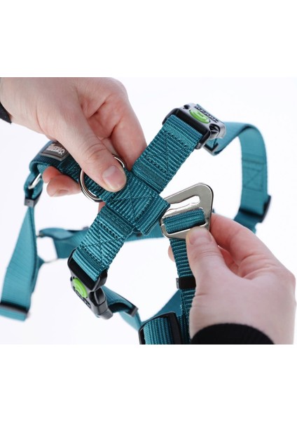 Kaçış Önleyici Köpek Tasması Petrol Yeşili 42 cm - 55 Cm, S modelleri