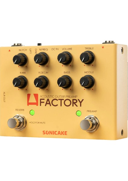 A Factory DuaLane Acoustic Preamp Pedalı