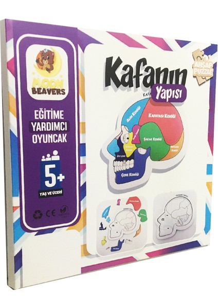 Kafanın Yapısı Eğitici Öğretici Geliştirici Ahşap Sağlıklı Oyuncak