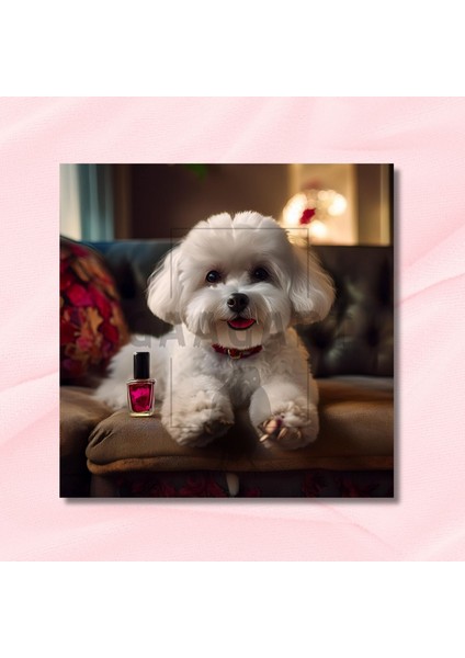 Tekli Kare Kanvas Pet Kuaför Pembe Oje Sürdüren Maltese Köpek modelleri