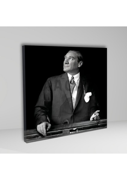 Tekli Kare Kanvas Duvar Tablosu Yukarı Bakan Atatürk fiyatları