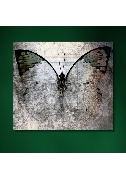 Tekli Kare Kanvas Gri Yeşil Koyu Renk Kelebek Tasarımı modelleri