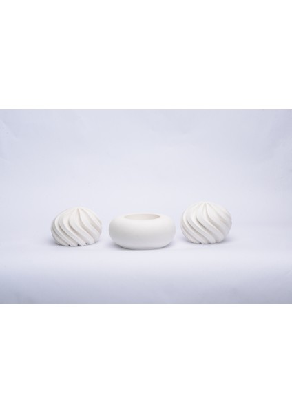 Dekoratif Biblo Set , Skulent Set