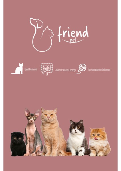 Friend Gold Yetişkin Kedi Maması Tavuklu 9 kg fırsatları