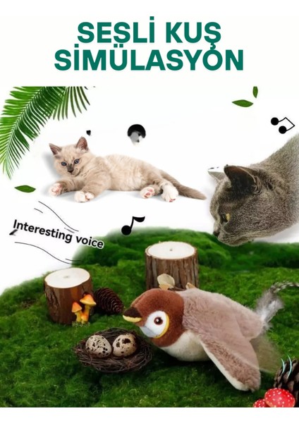 Kedi Oyuncakları Titreyen Peluş Oyuncak Uçan Kuş Oyuncak Trend Kedi Sesli Av Oyuncak Tüylü Kuş Oyuncak modelleri