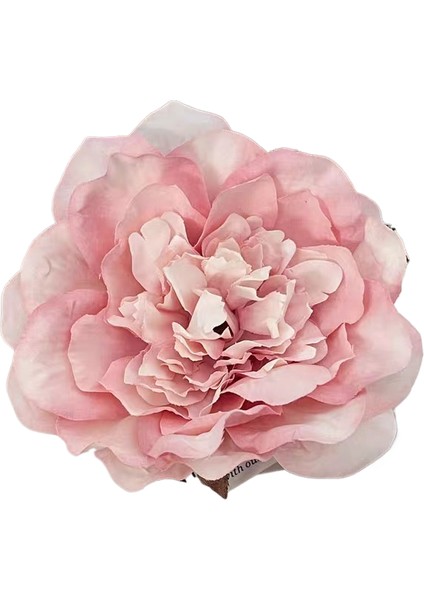 Saçak Plakası Saç Aksesuarları (Yurt Dışından)