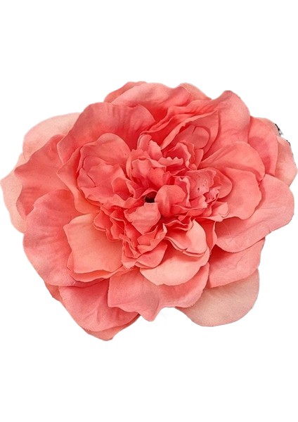 Saçak Plakası Saç Aksesuarları (Yurt Dışından)