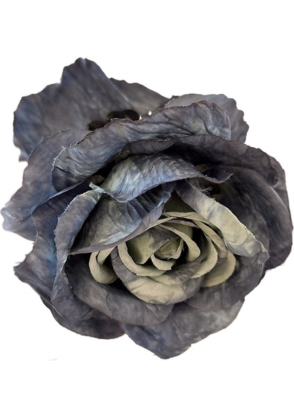 Narin Eski Moda Başlık Toka (Yurt Dışından)