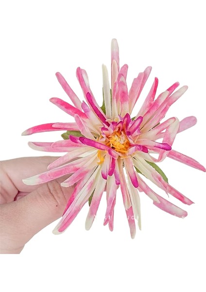 Narin Eski Moda Başlık Toka (Yurt Dışından)