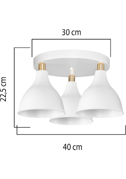 Ronda Üçlü Plofonyer Avize Beyaz