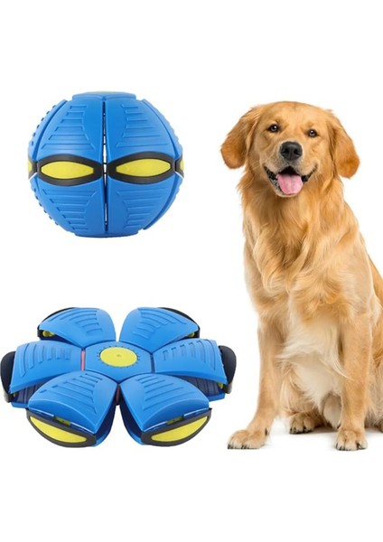 Zİplayan Köpek Oyuncağı Interaktif Işıklı Zİplayan Frizbi Evcil Hayvan Topu, Zİplayan Köpek Oyun Topu
