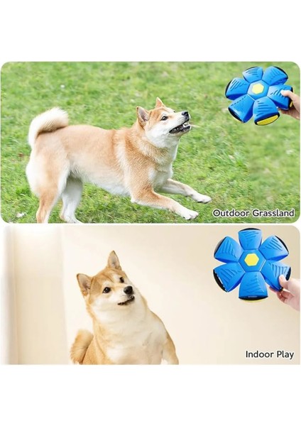 Zİplayan Köpek Oyuncağı Interaktif Işıklı Zİplayan Frizbi Evcil Hayvan Topu, Zİplayan Köpek Oyun Topu