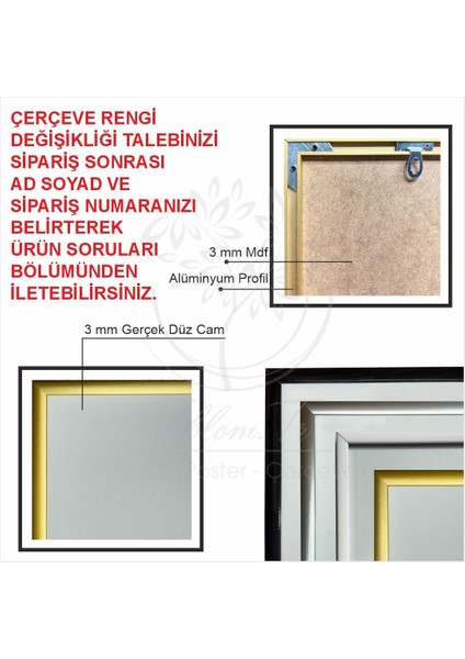 Metal Çerçeveli Camlı Pulse 2'li Dekoratif Tablo