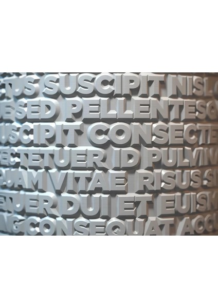 Lorem Ipsum Saksı