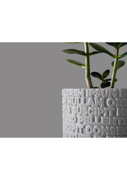 Lorem Ipsum Saksı