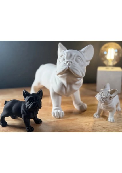 Fransız Bulldog - Beyaz - 17 cm