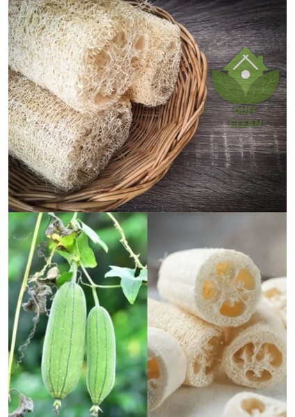 Doğal Jumbo Kabak Lifi Kesesi 50x60 cm modelleri