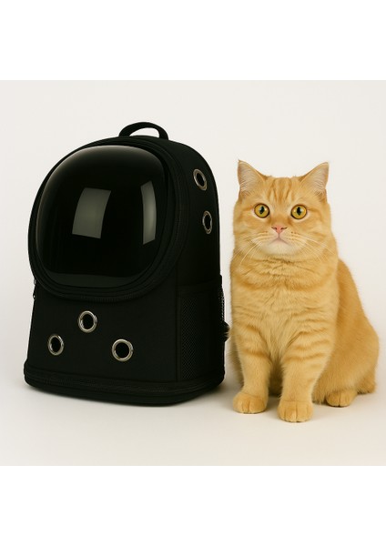 Pratik Yıkanabilir Piramit Model Kedi Köpek Taşıma Çantası Siyah