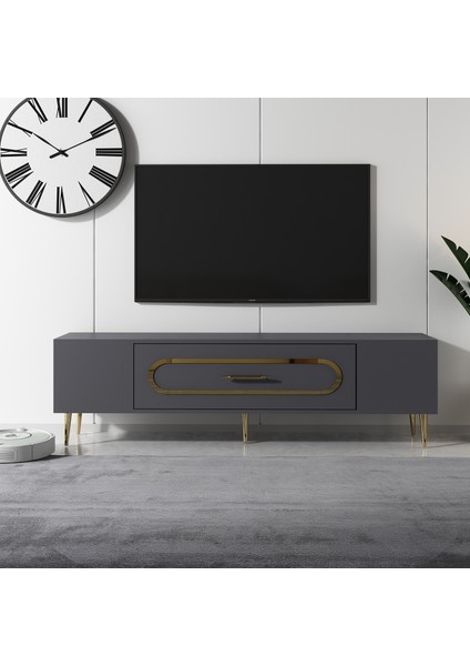 Bişkek Tv Sehpası Tv Ünitesi Antrasit Altın