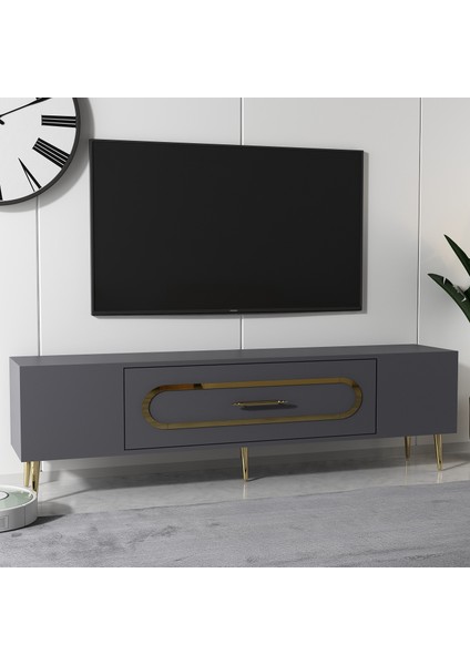 Bişkek Tv Sehpası Tv Ünitesi Antrasit Altın fiyatları