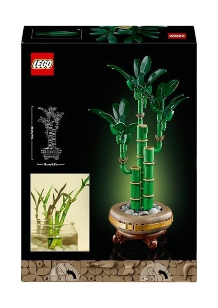 Botanicals Şans Bambusu 10344 - Yetişkin Kadın ve Erkekler Için Bambu Sapları, Çakıl Taşları ve Ahşap Efektli Saksı Içeren Dekoratif Bitki Seti, Ev ve Ofis Dekorasyonu Hediye Fikri (325 Parça) fiyatları