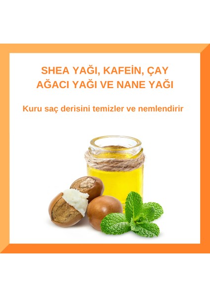 Erkeklere Özel Üçü Bir Arada ( Şampuan+Saç Kremi+Duş Jeli)