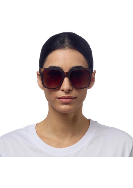 Roma Unisex Klasik Havana Güneş Gözlüğü Kahverengi Degrade modelleri