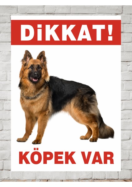 Dikkat Köpek Var Polikarbon Levha Tabela 24X34CM