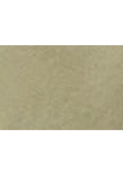 Xx Authentic Lightweight Şort