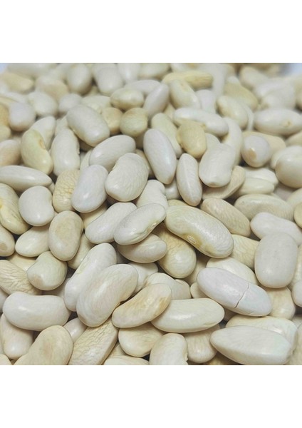 Horoz Kuru Fasulye Ata Tohumu 500 gr fiyatları