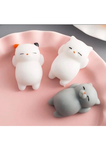 5 Adet Hayvan Sukuşi Sevimli Kedicik Stress Çocuk Okul Hediye Squishy Hayvan Oyuncak Tembel Kedi