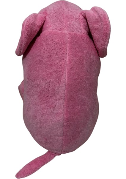 Peluş Oyuncak
