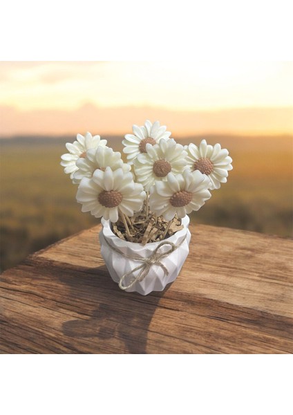 Dekoratif Beton Saksıda %100 Doğan Soya Wax Papatya Mum Buketi modelleri